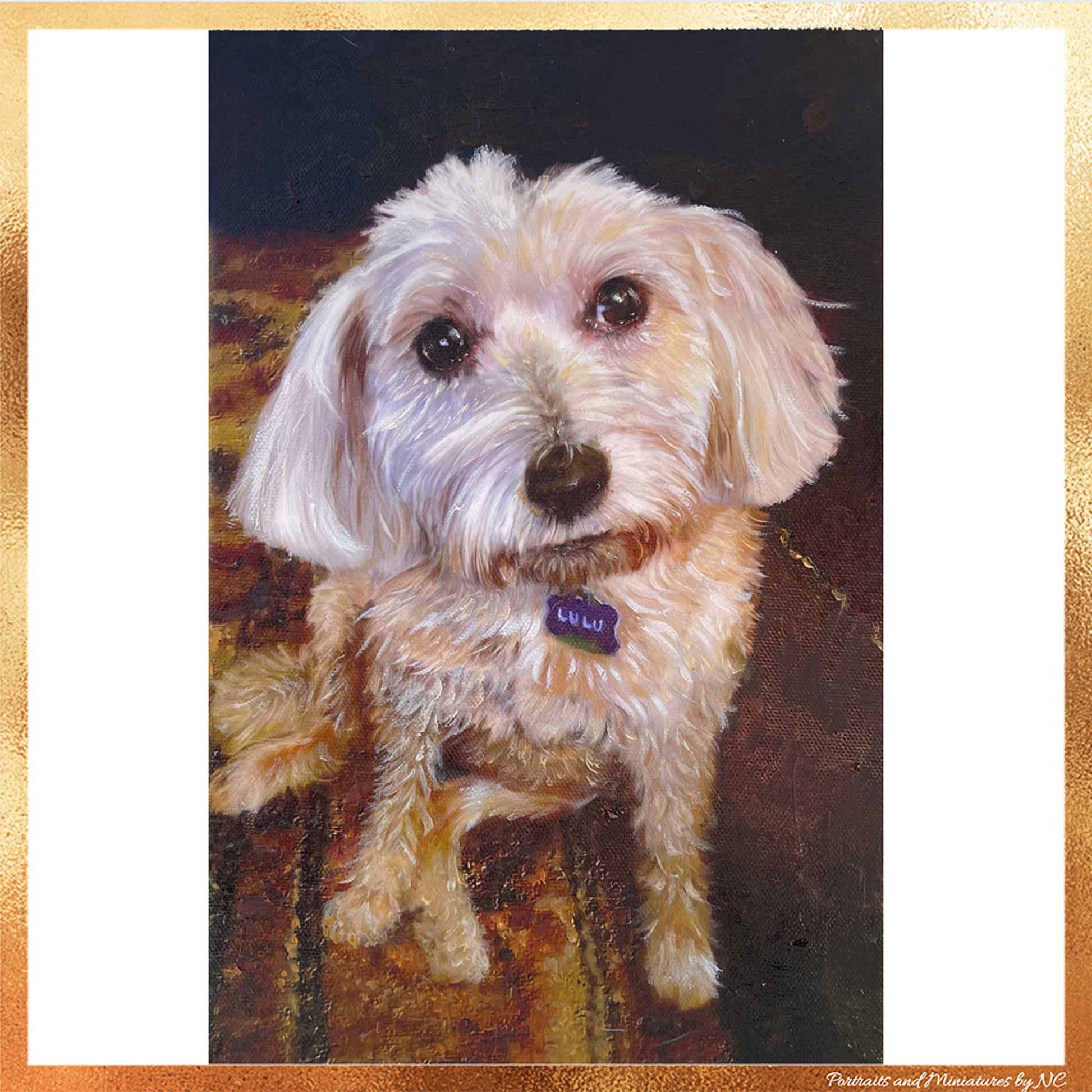 Maletese Dog Portrait