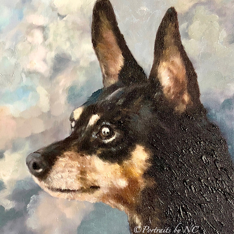 Portrait de chien Pinscher nain