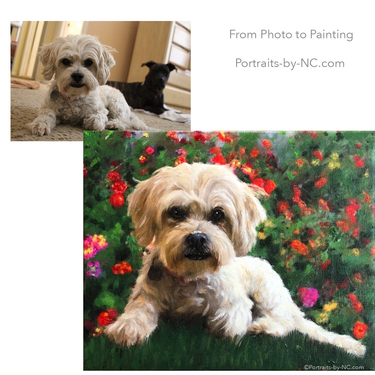 Lhasa Apso/poodle mix painted from photo