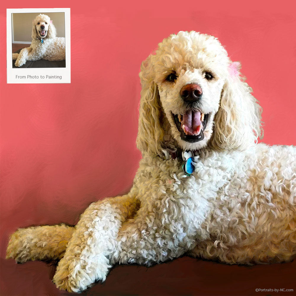 Poodle Portrait From Photo