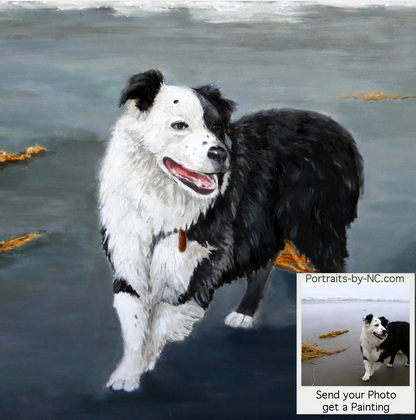 Australian Border Collie Dog Oil Portrait from photo