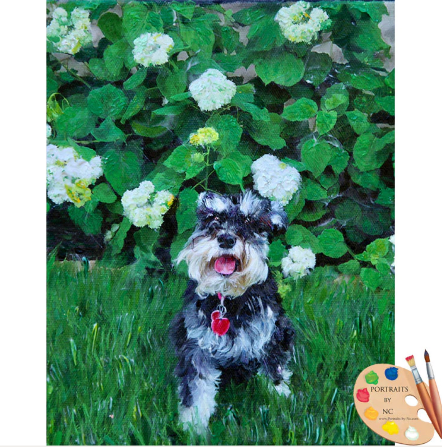 Schnauzer Dog Portrait from Photo full size