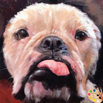 Bulldog Oil Portrait - Bulldog Painting from Photo