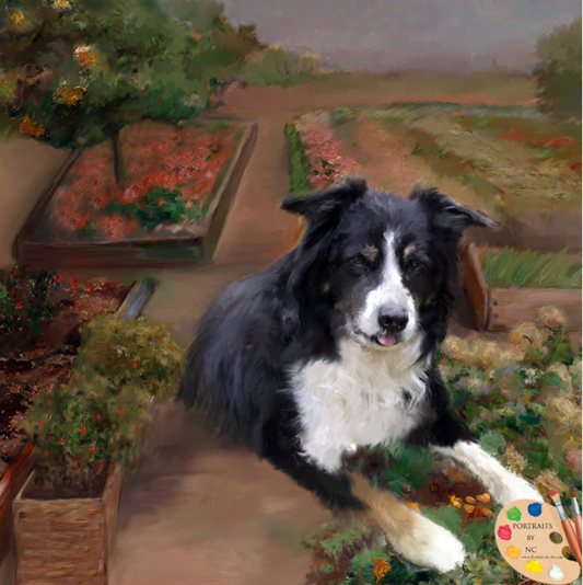 Border Collie Dog Digital Pet Portrait Painting