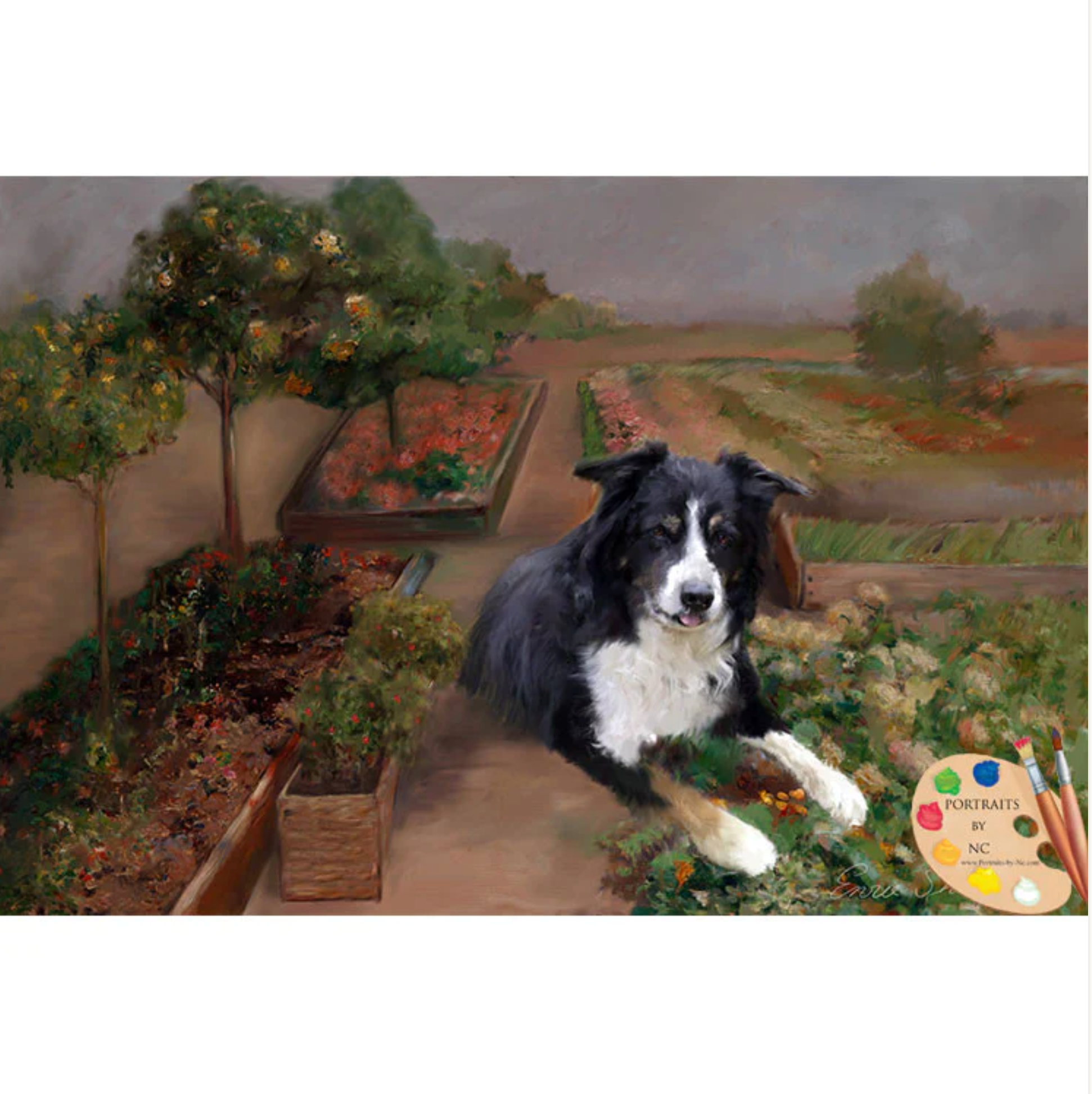 Border Collie Dog Digital Pet Portrait Painting full size