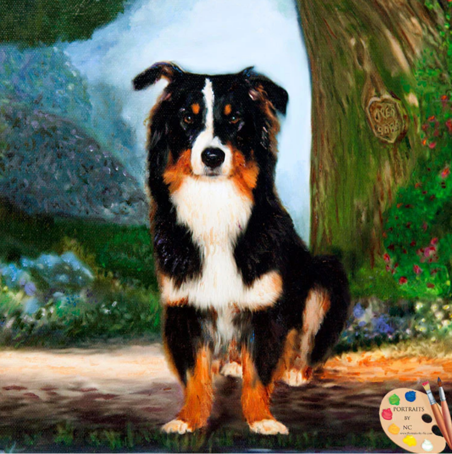 Border Collie Dog by Pond Digital Pet Portrait closeup
