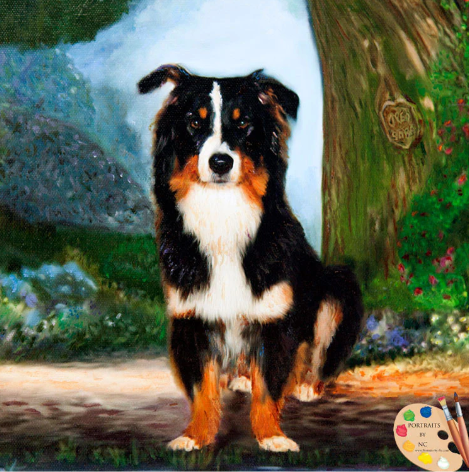 Border Collie Dog by Pond Digital Pet Portrait closeup