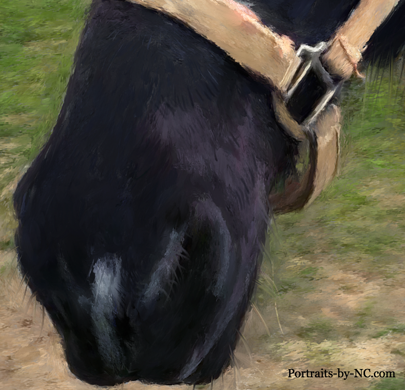 Horse Nostril Painting Detail