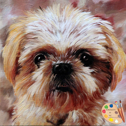 Pet Portraits - Dog Portraits - Shih Tzu Oil Portrait