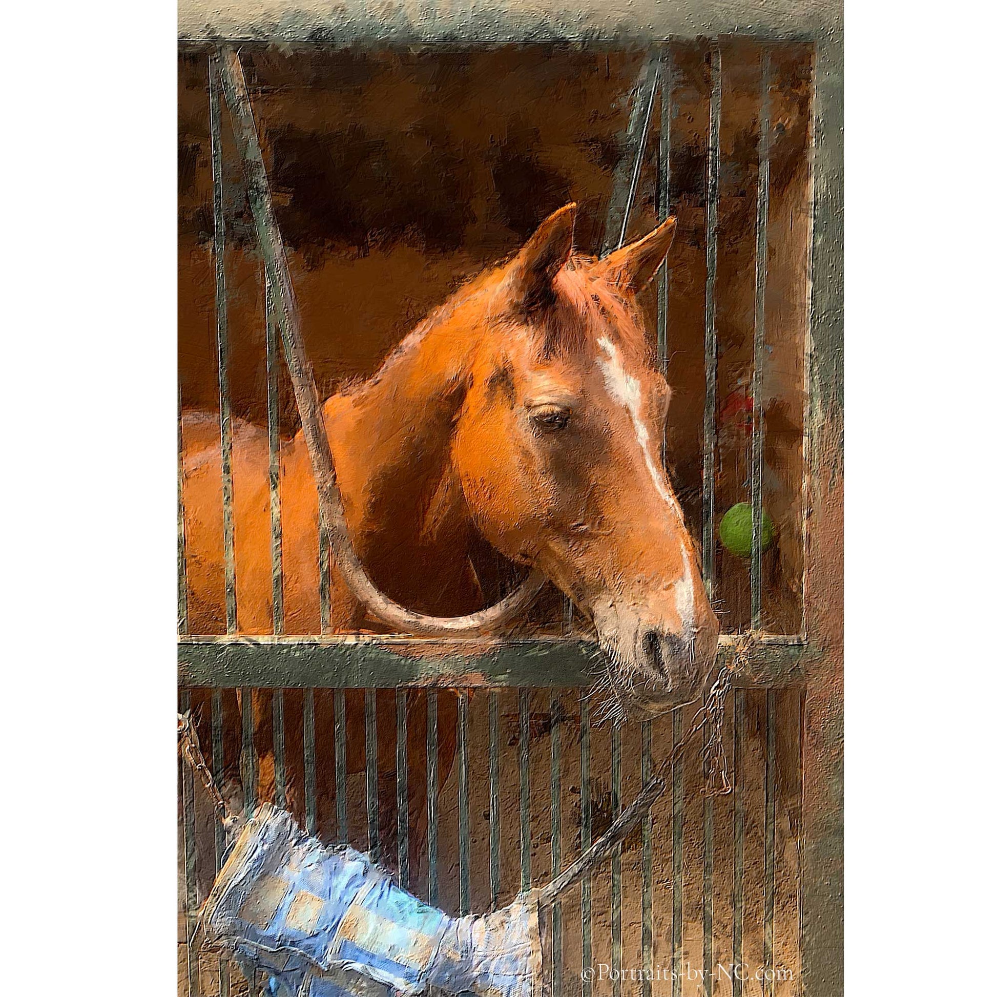 Leon in Stable  - Commissioned Digital HorsePortrait 8x12