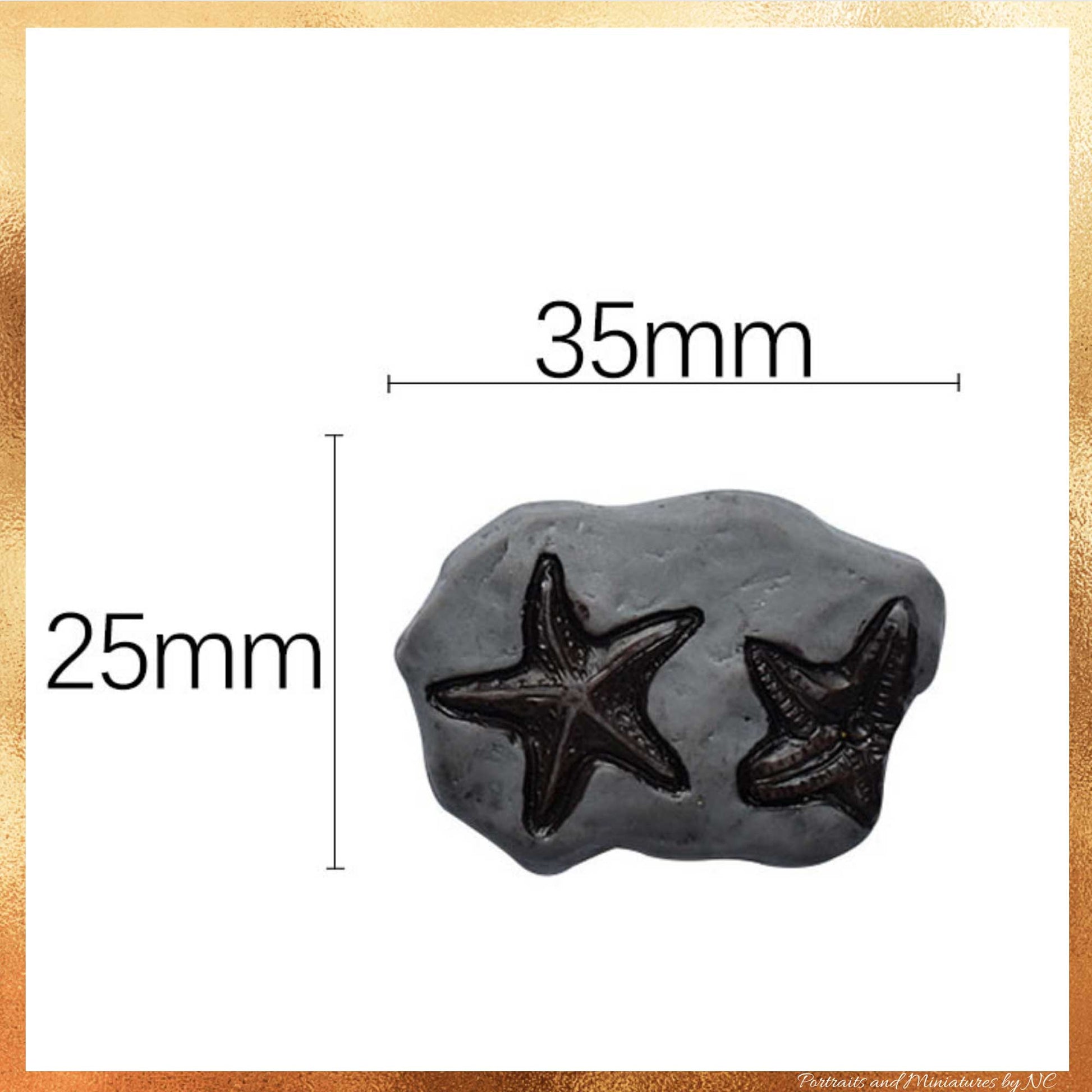 Starfish Fossil Size
