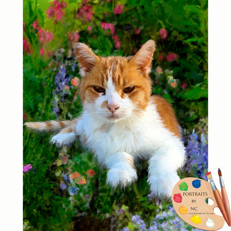Tabby Cat Portrait 626
