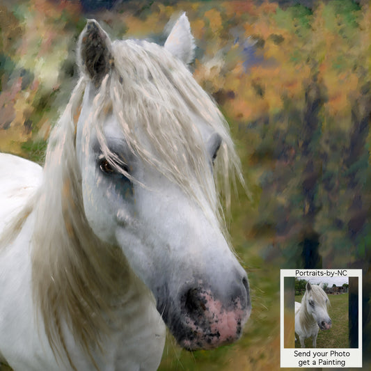 Weißes Pferdeporträt - Benutzerdefiniertes gemaltes Pferdeporträt vom Foto
