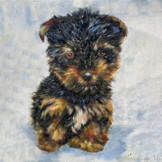 Yorkie Puppy Dog Oil Portrait