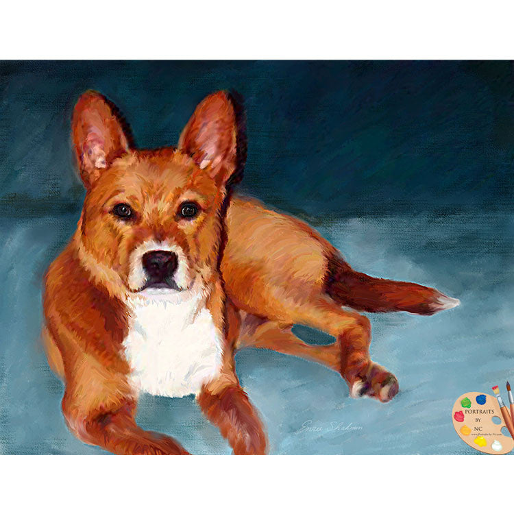 Basenji Dog Portrait 281 - Portraits by NC