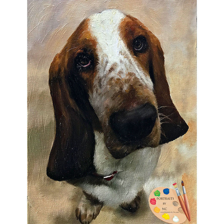 Basset Hound Dog Portrait 538 - Portraits by NC