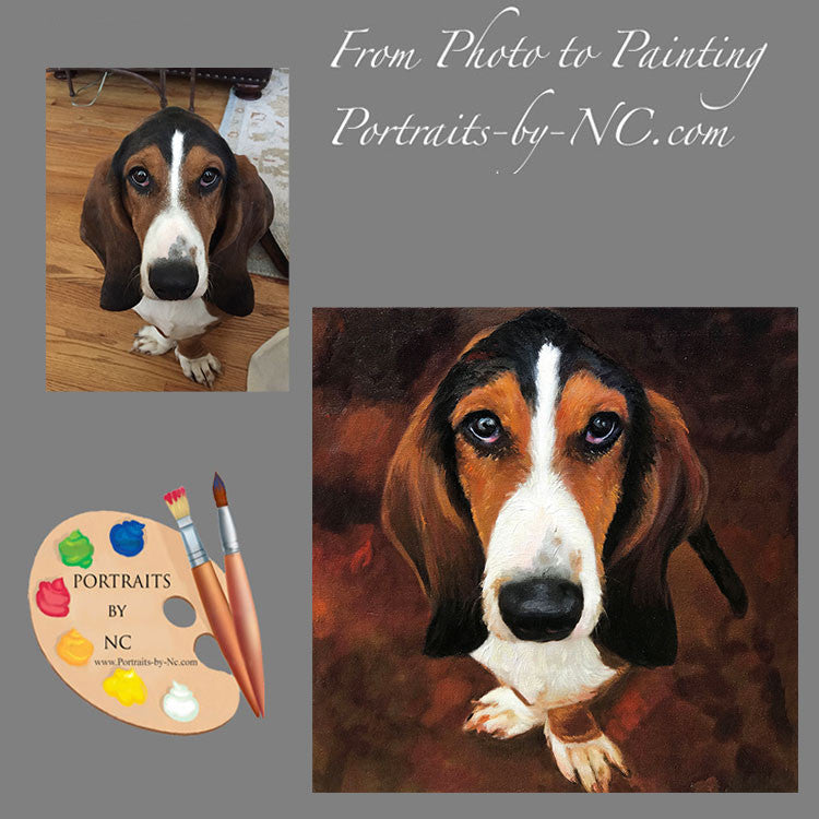 Basset Hound Pet Portrait 570 - Portraits by NC