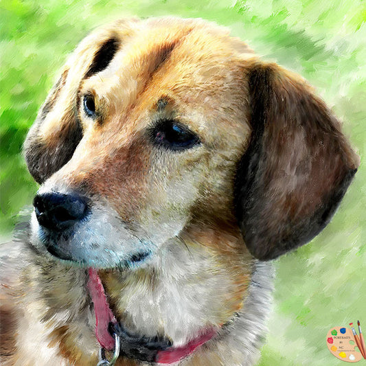 Beagle Dog Portrait 368 - Portraits by NC
