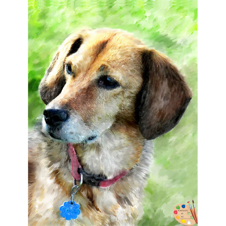 Beagle Dog Portrait 368 - Portraits by NC