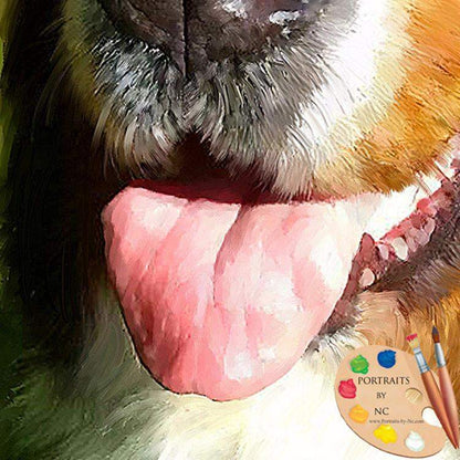 Bernese Mountain Dog Pet Portrait 453 - Portraits by NC