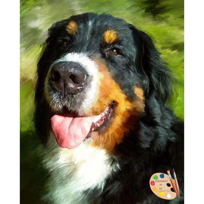 Bernese Mountain Dog Pet Portrait 453 - Portraits by NC