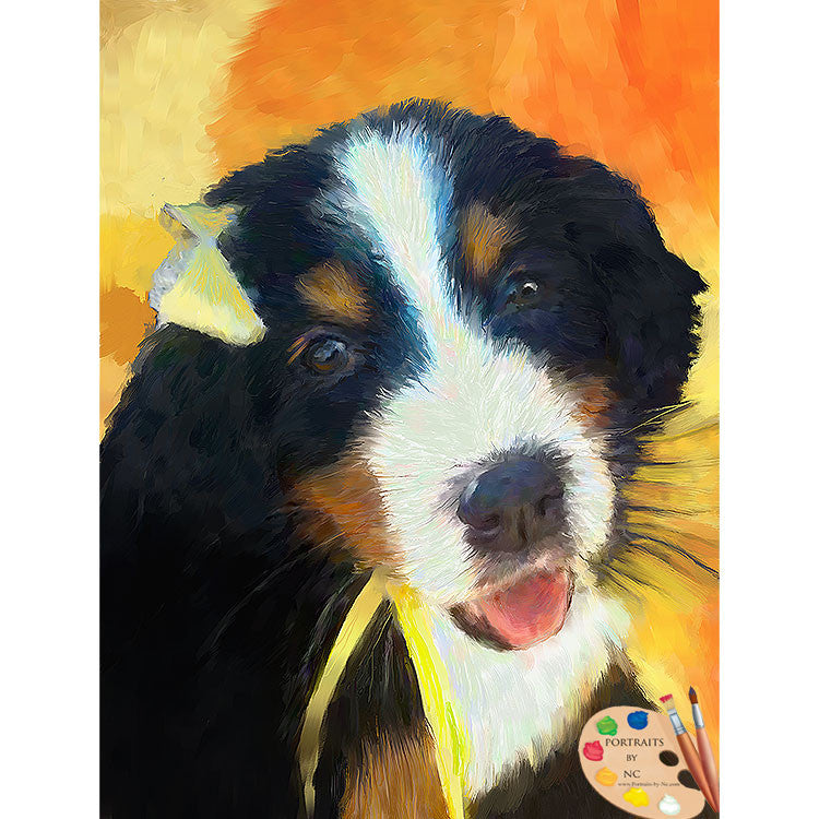 Bernese Mountain Dog Puppy Portrait 544 - Portraits by NC