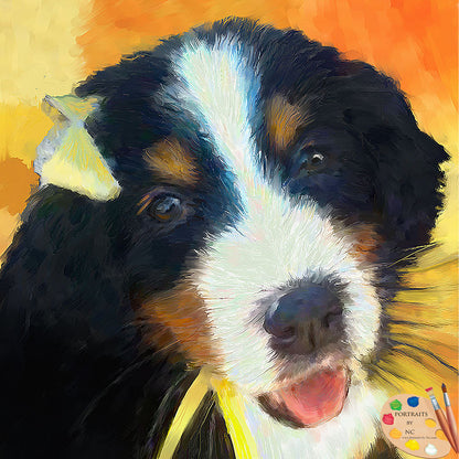 Bernese Mountain Dog Puppy Portrait 544 - Portraits by NC