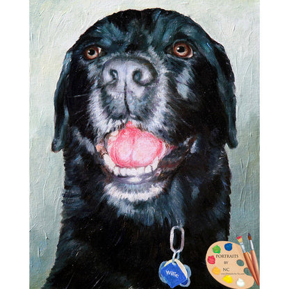 Black Labrador Portrait 525 - Portraits by NC