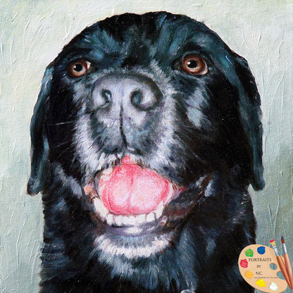 Black Labrador Portrait 525 - Portraits by NC