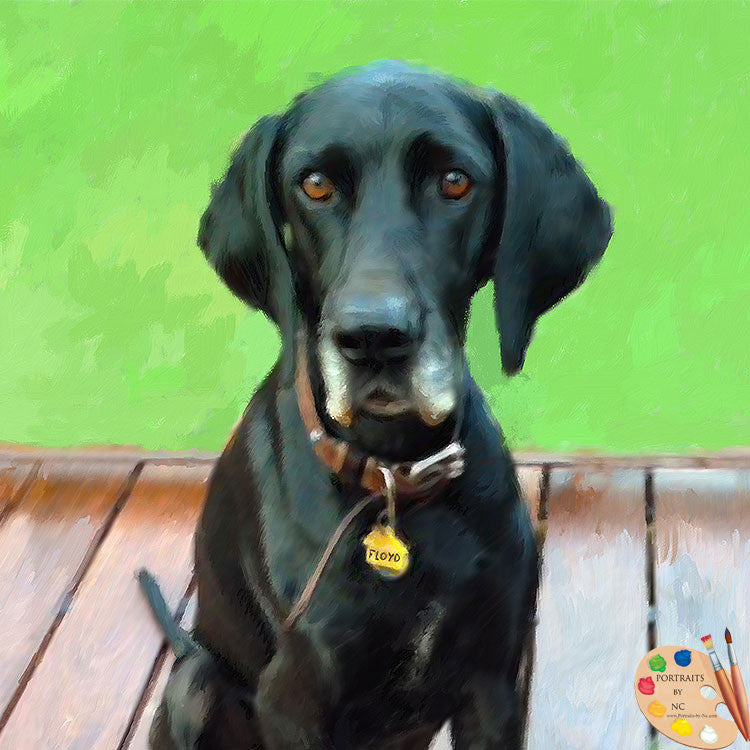 Great Dane Dog Portrait