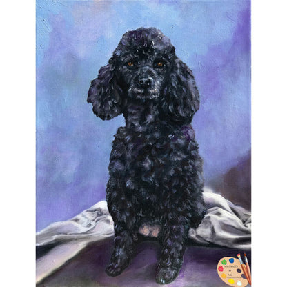 Black Poodle Dog Portrait 531 - Portraits by NC