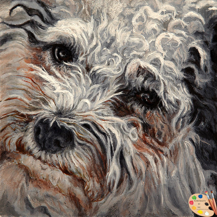 Bolognese Dog Portrait Vivi 144 - Portraits by NC