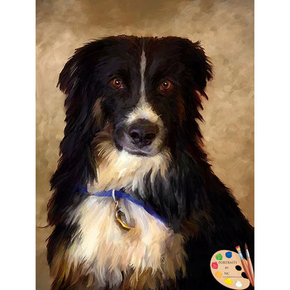 Border Collie Dog Portrait 508 - Portraits by NC