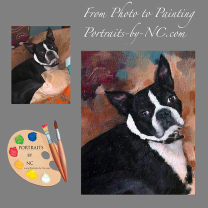 Boston Terrier  Dog Portrait 527 - Portraits by NC