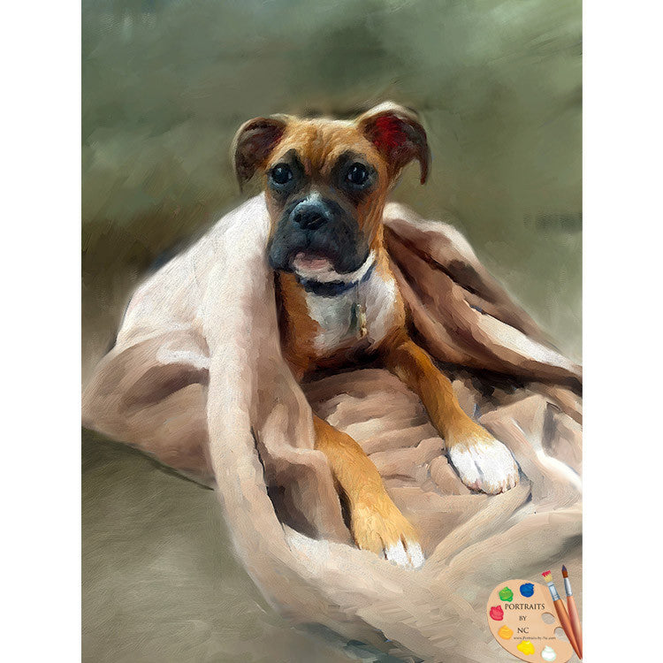 Boxer Dog Portrait 316 - Portraits by NC