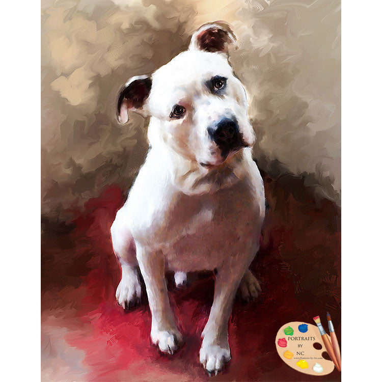 Boxer Dog Portrait 545 - Portraits by NC