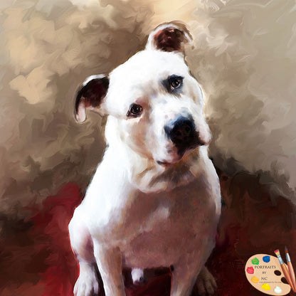 Boxer Dog Portrait 545 - Portraits by NC