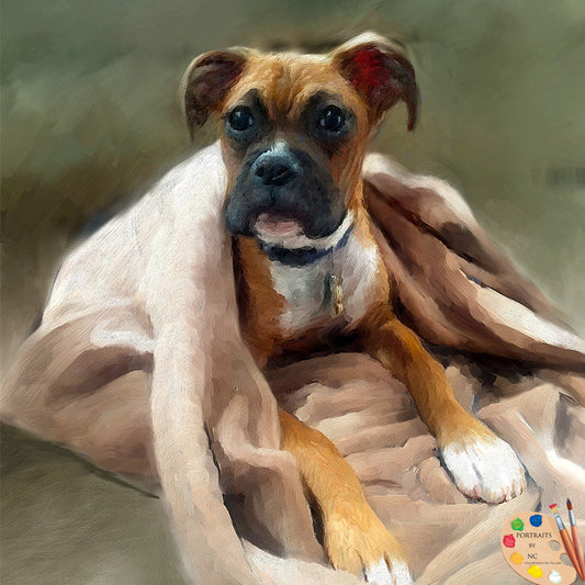 Boxer Dog Portrait 316 - Portraits by NC