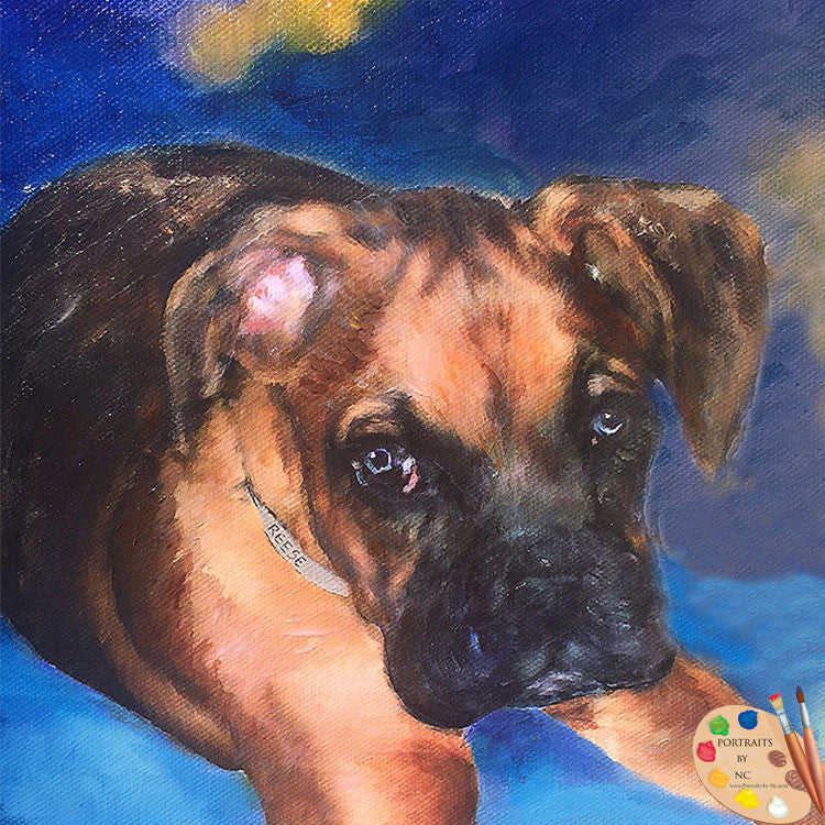 Boxer Puppy Oil Portrait - Portraits by NC