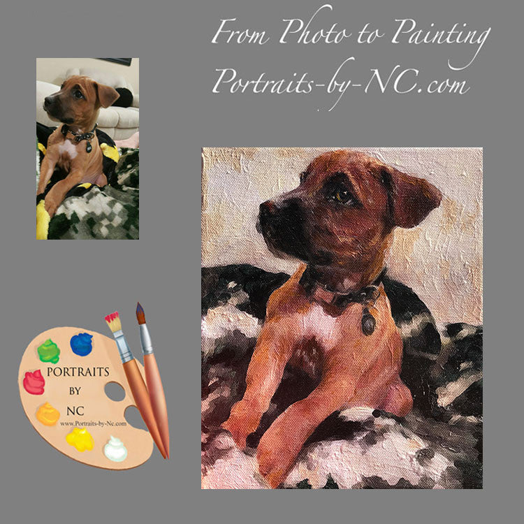 Boxer Puppy Portrait 502 - Portraits by NC