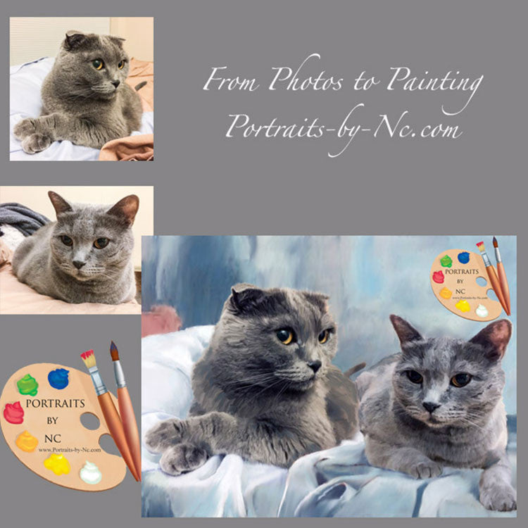 British Shorthair Cat Portrait 346 - Portraits by NC