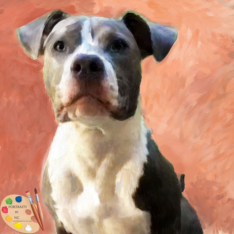 Bulldog Dog Portrait 380