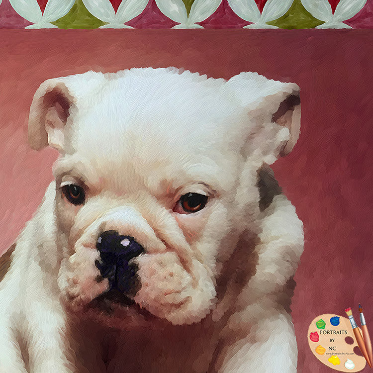 Bulldog Puppy Portraits 329 - Portraits by NC