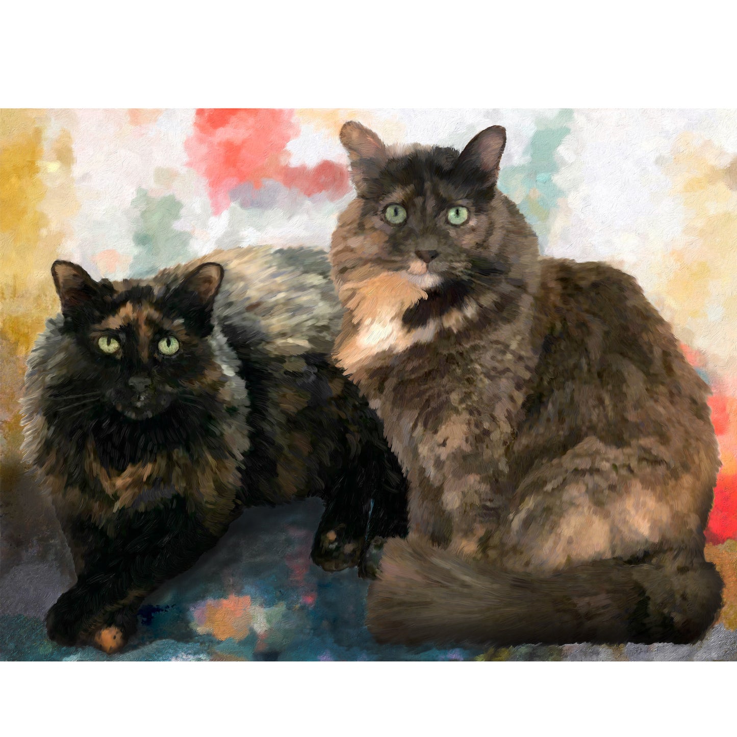 Two Calico Cats