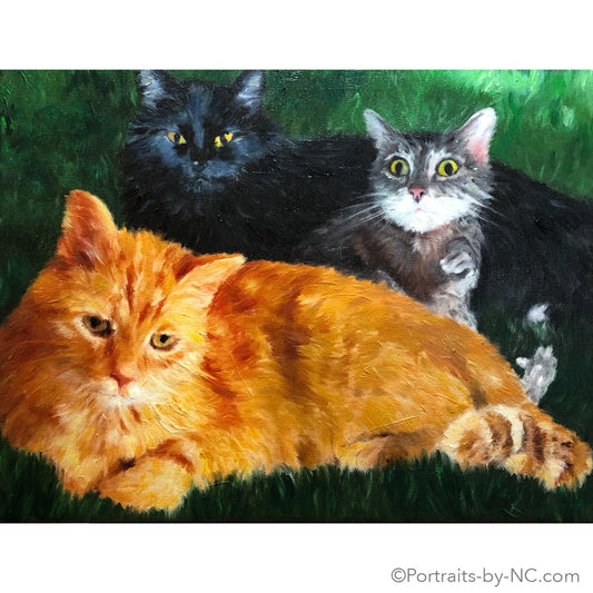 Cats Group Portrait in Oil 684 - Portraits by NC