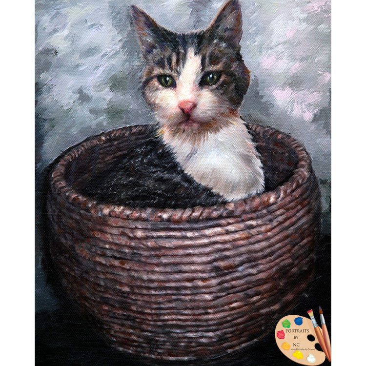 Cat Portrait Cat in Basket 427 - Portraits by NC