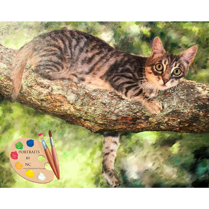 Cat Portrait Cat in Tree 375 - Portraits by NC