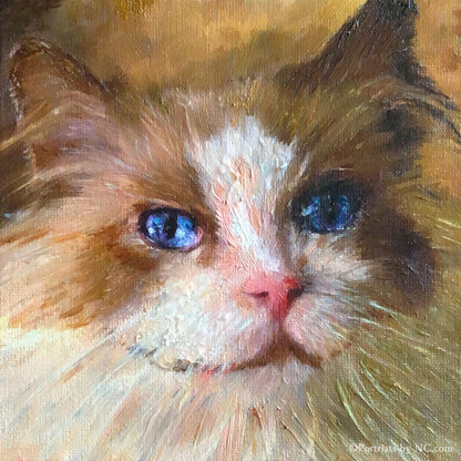 cat Oil Portrait