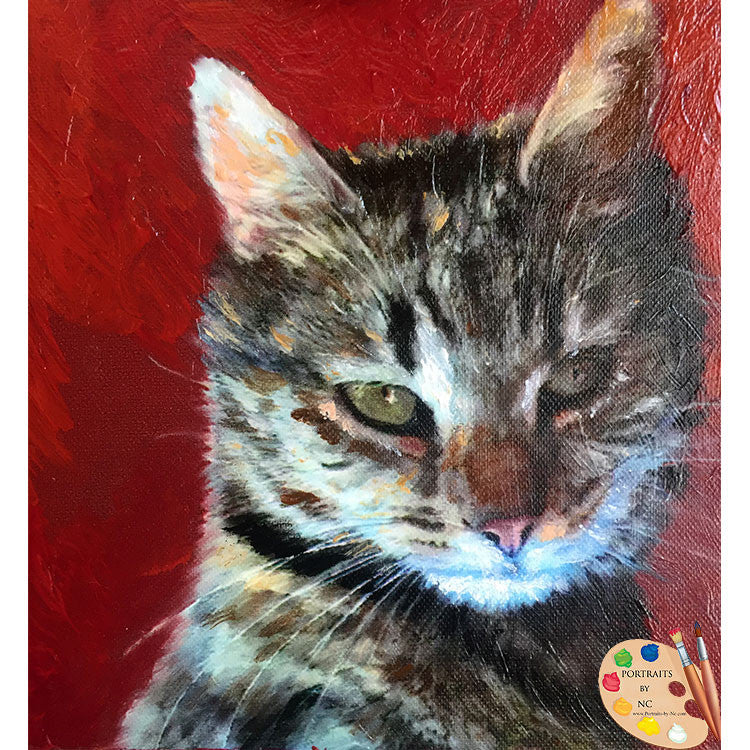 tabby-cat-portrait-450
