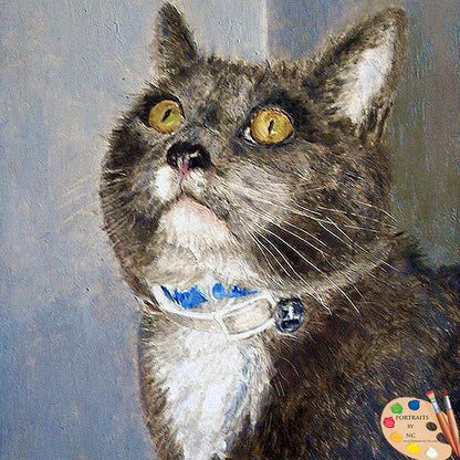 Grey Domestic Cat Portrait 106